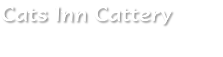 Cats Inn Cattery